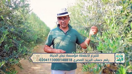 جهود مؤسسة "نبض الحياة" في مساعدة الفقراء