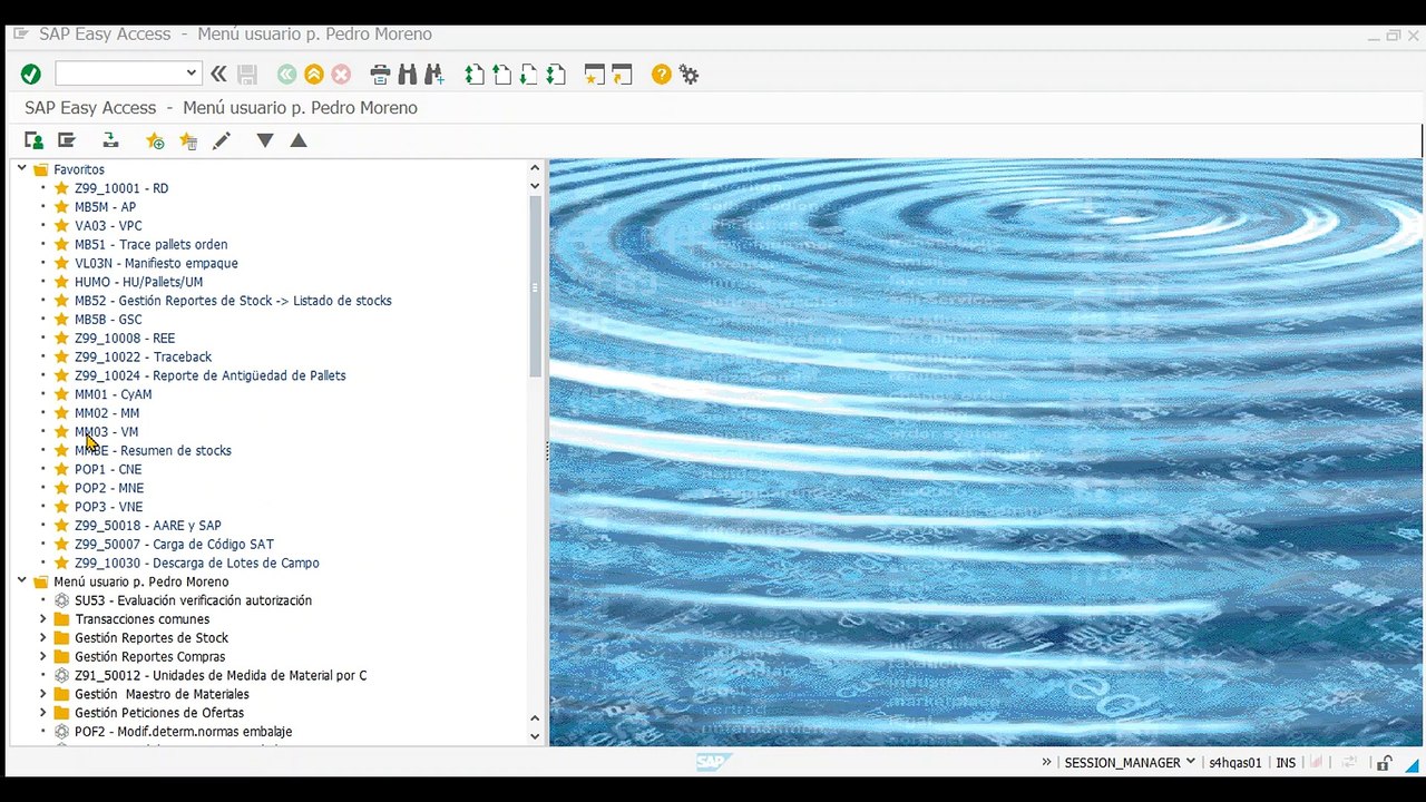 MM03 Visualizar material PRTER1