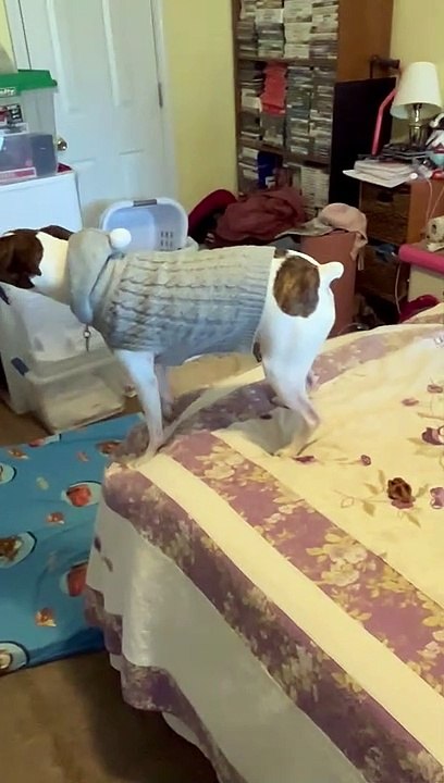 Princess meets bubble wrap