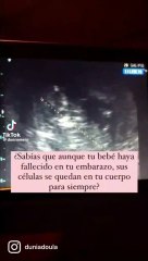 ESA MARAVILLOSA UNIDAD ENTRE LA MADRE Y SU BEBÉ QUE TRASCIENDE FRONTERAS