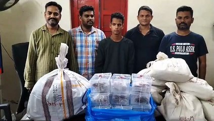 SURAT VIDEO/ 33 किलो गांजे के जत्थे के साथ एक गिरफ्तार