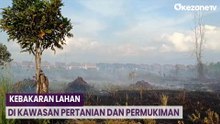 Kebakaran Lahan Terjadi Dekat Kawasan Pertanian dan Permukiman Warga