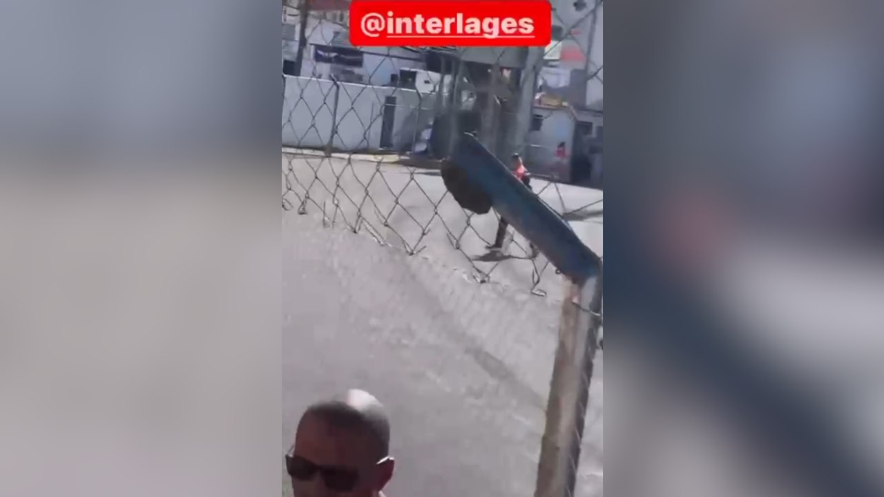 Enxame de abelhas chama atenção de torcedores d...