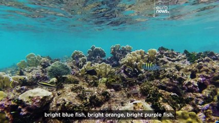 Meet the young environmentalist sending children to school in Indonesia