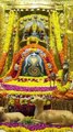 Video: गुजरात में श्रावण महीने के पहले सोमवार व नाग पंचमी पर शिव मंदिरों में उमड़े श्रद्धालु
