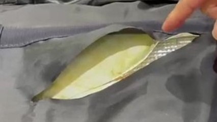 '필로폰 밀수' 말레이시아인 구속 기소..."10만 명 동시 투약분" / YTN