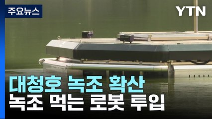 '녹조 먹는 로봇' 대청호 투입...먹는 물을 지켜라! / YTN