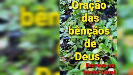 Oração das bênçãos de Deus. O Senhor Jesus Cristo é Rei dos reis e Senhor dos senhores.