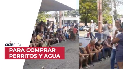 Para comprar perritos y agua