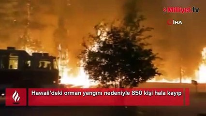 Hawaii'de orman yangınlarında kaybolan 850 kişiden haber alınamıyor