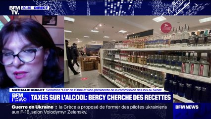 Taxes sur l'alcool: pour Nathalie Goulet (sénatrice UDI de l'Orne), le gouvernement devrait "aller chasser la fraude" plutôt que de "taxer le contribuable"