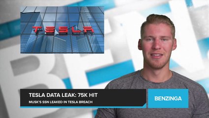 Elon Musk's Social Security Number Leaked in Tesla Breach