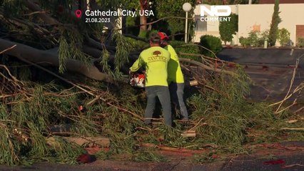 EUA: O rasto de destruição deixado pela tempestade Hilary na Califórnia