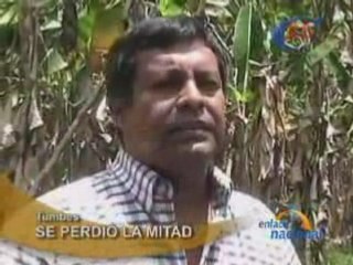 SE PERDIÓ LA MITAD - TUMBES