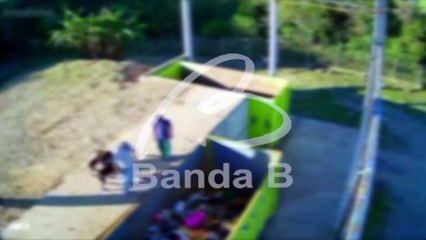 Suspeitos que arremessaram cães em lixo no Paraná são indiciados pela polícia; vídeo mostra crime