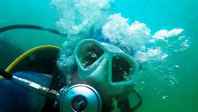 Scuba Diver Saves Shark During Shark Week 2023