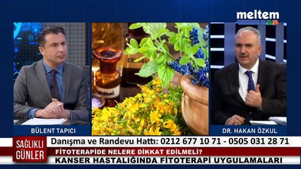 Tıbbi bitkilerin Kanseri üreten kanser kök hücrelerine etkisi
