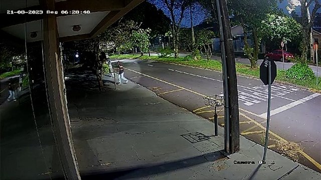 VÍDEO: Câmera de segurança flagra motorista abandonando filhotes de cachorro em avenida de Umuarama