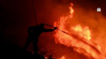 Yunanistan'ın Viotia bölgesindeki orman yangınları devam ediyor