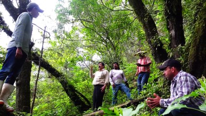 Los tesoros de la Sierra de Álica | Conexión Milenio
