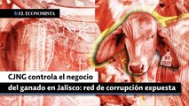 CJNG controla el negocio del ganado en Jalisco: red de corrupción expuesta