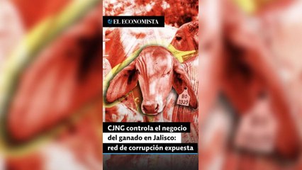 CJNG controla el negocio del ganado en Jalisco: red de corrupción expuesta