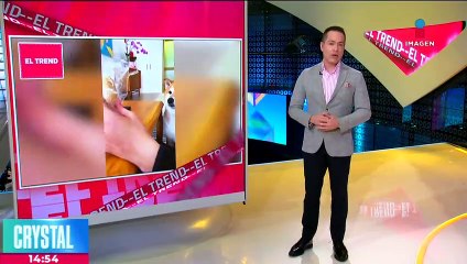 Murió el perrito "Cheems"