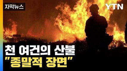 [자막뉴스] "종말적 장면" 천 여건의 산불 타오르는 캐나다 긴박한 상황 / YTN