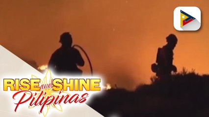 Higit 40 hectares, sinakop ng wildfire sa Tenerife, Spain