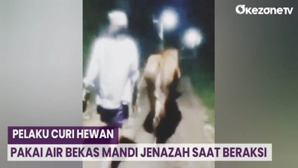 Curi Hewan, Pelaku Pakai Air Bekas Mandi Jenazah saat Beraksi di Bangkalan