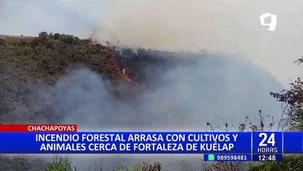 Chachapoyas: incendio cerca de Kuélap consume decenas de cultivos