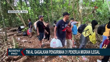 Gagalkan Tindak TPPO, TNI AL Amankan 31 Pekerja Migran Ilegal yang Hendak Dikirim ke Malaysia!