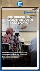 Aksi Seekor Kucing Antusias Ikut Kuliah hingga Panjat Badan Pak Dosen saat Ngajar di Kelas
