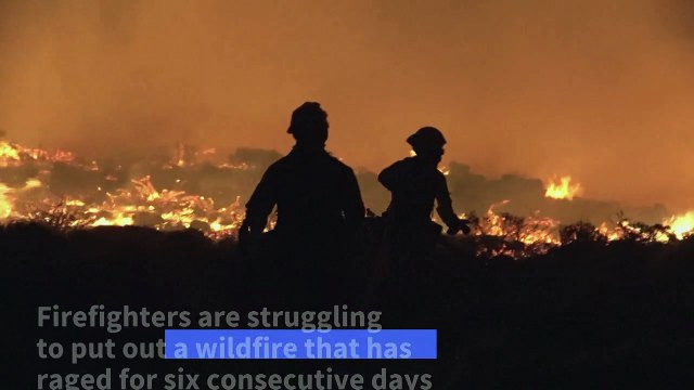 Firefighters continue battling wildfire on Spanish island of Tenerife
