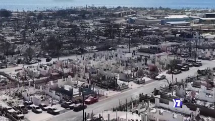 7dias-hawai-infierno-en-el-paraiso-210823.