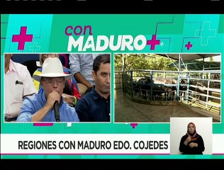 Productor Bufalino, José Moreno ratifica que los productos derivados del búfalo son de mayor calidad