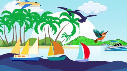 Video animasi - pulau - pantai
