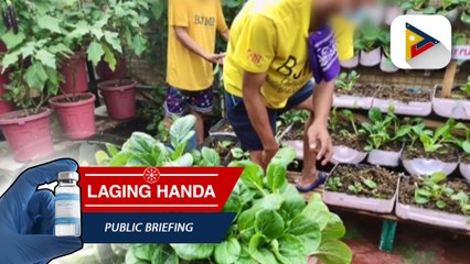 Agrikultura, isa sa mga sentro ng programa ngayon nsa Zamboanga City jail