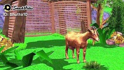 Tiger ko kisi nay pakar rakha hota hai or lion hamla karta hai janwaro per 5233895820895162773_play.mp4_logo_US.