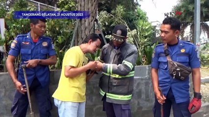 Detik-Detik Penyelamatan Anak Kucing Usai Terjepit 12 Jam di Tembok