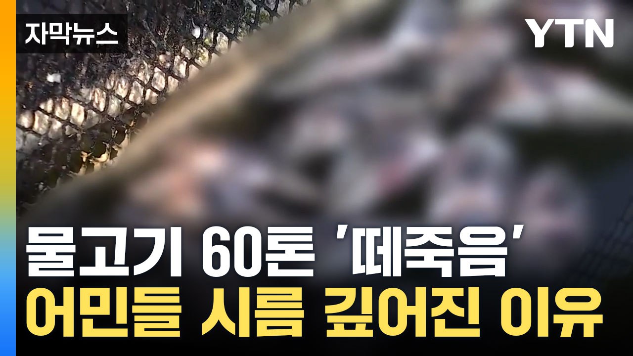 [자막뉴스] 한 달 가까이 유지된 현상... 전국 어민 '비상' / YTN