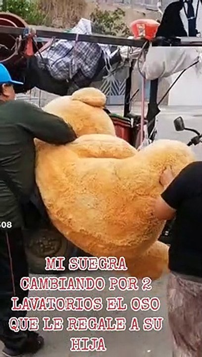 "Adiós, malos recuerdos": Suegra cambia el peluche del novio de su hija por dos lavatorios