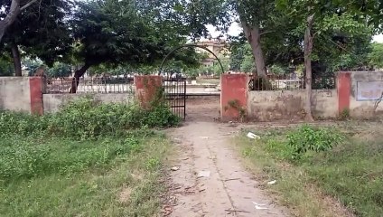 राजर्षि कॉलेज का गार्डन बना जंगल, विद्यार्थी बैठने से कतरा रहे, देखें वीडियो