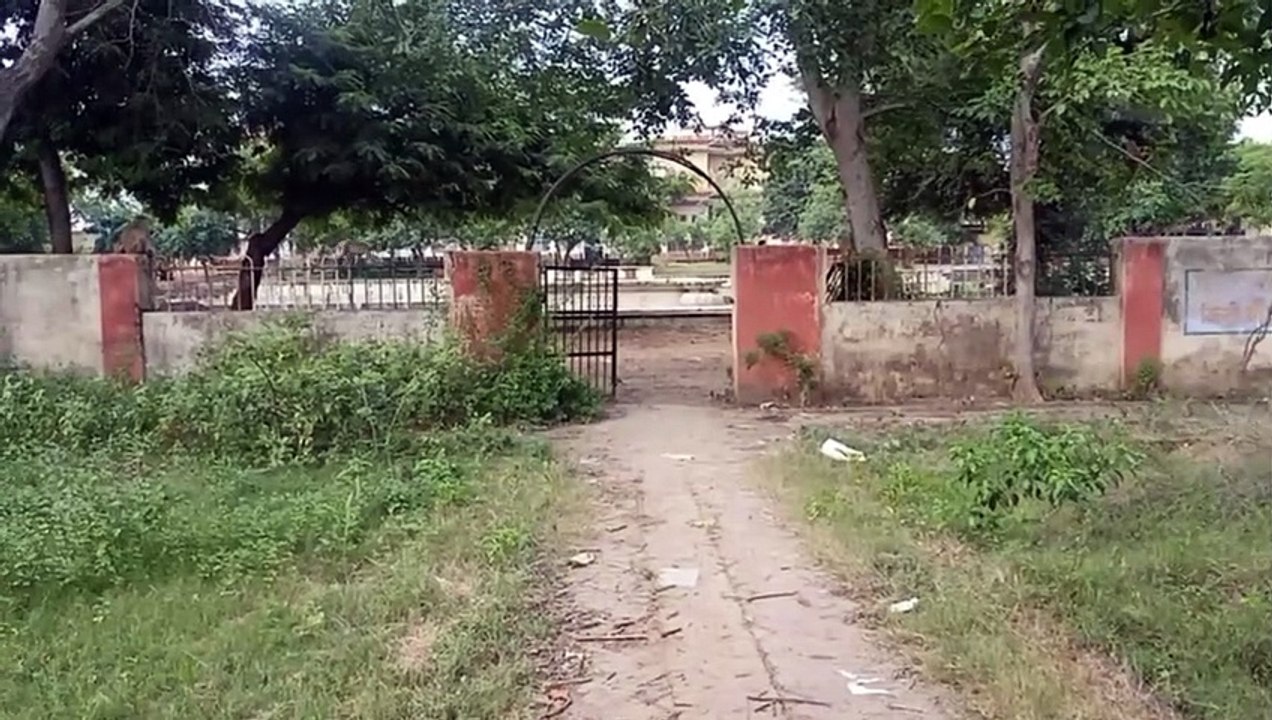 राजर्षि कॉलेज का गार्डन बना जंगल, विद्यार्थी बैठने से कतरा रहे, देखें वीडियो