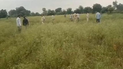 बुरहानपुर: तेंदुए की सूचना पर वन विभाग मुस्तैद, क्षेत्र में चलाया सघन चेकिंग अभियान