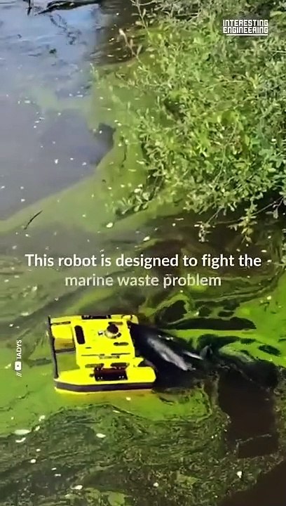 Smart Innovations, We Need More of Them #shorts #viral #shortsvideo #video #innovationhub