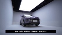 New Wuling (Xingyun) NEBULA COMPACT SUV 2024