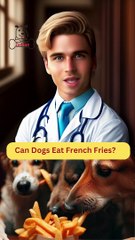 Can Dogs Eat French Fries | Zudaan Food Reviews