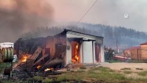 Yunanistan'da yangın Batı Trakya'da Türklerin yaşadığı köylere ulaştı