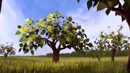 ChemisTree - 3D animated short film-Kids cartoon-Kids story